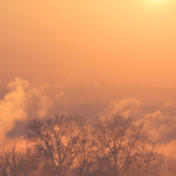 Linki Bezpiecznika I