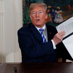 Linki Bezpiecznika VIII