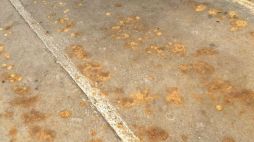 _103346985_image-0-02-01-c32787d89358adb7ed14bcdec501a0203c0da08bf451f729bad50096d8a27646-v