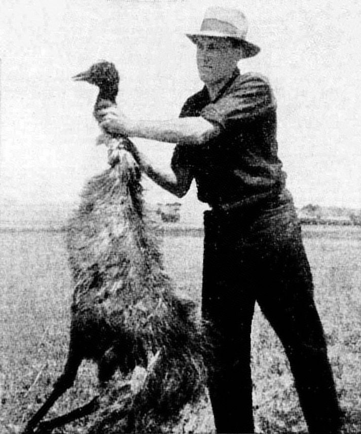 https://en.wikipedia.org/wiki/Emu_War