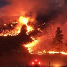 Wizja katastrofy ekologicznej, czyli płonące „płuca świata”