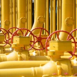 Gospodarka po drugiej stronie Bugu. Historia gospodarcza Ukrainy cz.2 (2005-2010)