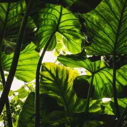 Problemy ekologiczne jako wyzwanie dla współczesnego bezpieczeństwa