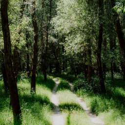 <strong>Kryzys migracyjny w Europie</strong>