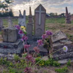 <strong>Poradnik wyjazdu do Ukrainy, lipiec 2022</strong>