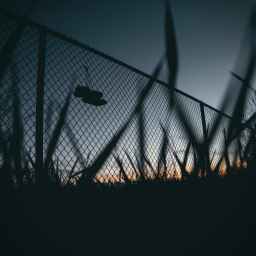 Prawa człowieka w Koreańskiej Republice Ludowo-Demokratycznej 