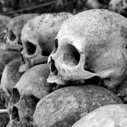 Ustalanie tożsamości ofiar w kryminalistyce – identyfikacja tzw. “NN”