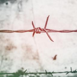 Sytuacja na granicy polsko-białoruskiej: analiza kryzysu migracyjnego i rola członkostwa Polski w organizacjach międzynarodowych 