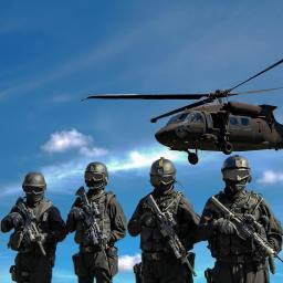 Efekty profesjonalizacji Sił Zbrojnych RP