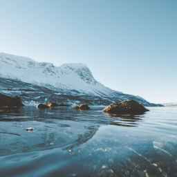 Fińscy jegrzy – czy kwestia obrony granic powinna być wzorowana na Finlandii?  